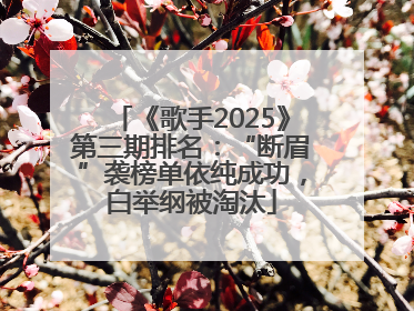 《歌手2025》第三期排名：“断眉”袭榜单依纯成功，白举纲被淘汰
