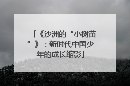 《沙洲的“小树苗”》：新时代中国少年的成长缩影