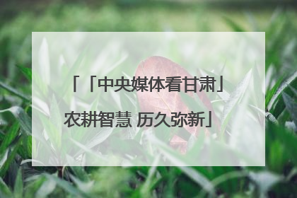 「中央媒体看甘肃」农耕智慧 历久弥新