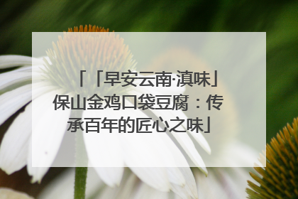 「早安云南·滇味」保山金鸡口袋豆腐：传承百年的匠心之味
