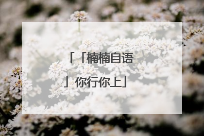 「楠楠自语」你行你上