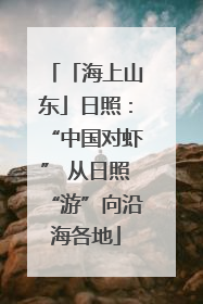 「海上山东」日照：“中国对虾” 从日照“游”向沿海各地