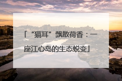 “猫耳”飘散荷香：一座江心岛的生态蜕变
