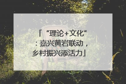 “理论+文化”：嘉兴黄岩联动，乡村振兴添活力