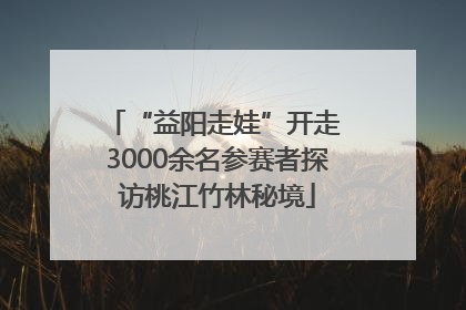 “益阳走娃”开走 3000余名参赛者探访桃江竹林秘境