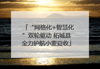 “网格化+智慧化”双轮驱动 柘城县全力护航小麦夏收