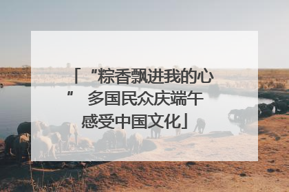 “粽香飘进我的心” 多国民众庆端午感受中国文化