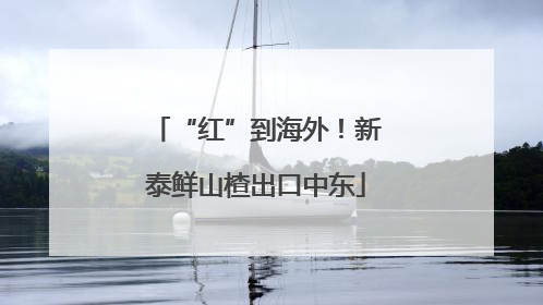 “红”到海外！新泰鲜山楂出口中东