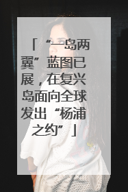 “一岛两翼”蓝图已展，在复兴岛面向全球发出“杨浦之约”