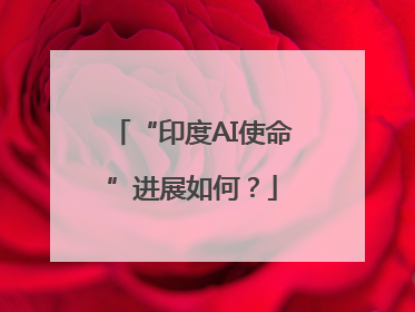 “印度AI使命”进展如何？