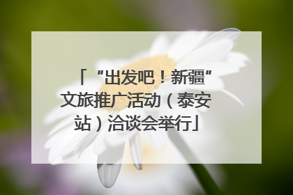 “出发吧！新疆”文旅推广活动（泰安站）洽谈会举行