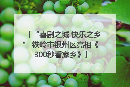“喜剧之城 快乐之乡” 铁岭市银州区亮相《300秒看家乡》