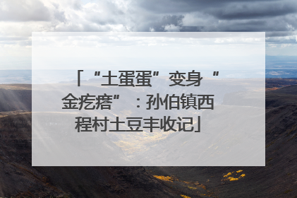 “土蛋蛋”变身“金疙瘩”：孙伯镇西程村土豆丰收记