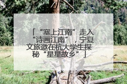“塞上江南”走入“诗画江南”，宁夏文旅邀在杭大学生探秘“星星故乡”