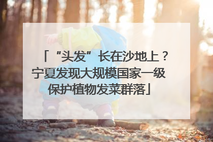 “头发”长在沙地上？宁夏发现大规模国家一级保护植物发菜群落