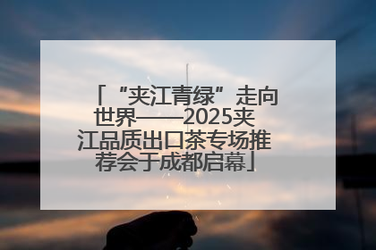 “夹江青绿”走向世界——2025夹江品质出口茶专场推荐会于成都启幕