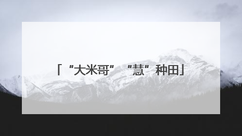 “大米哥”“慧”种田