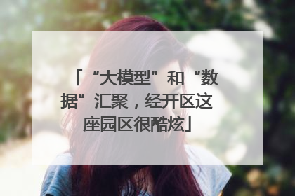 “大模型”和“数据”汇聚，经开区这座园区很酷炫