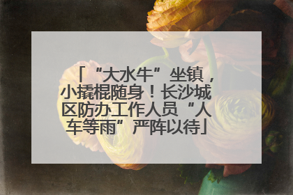 “大水牛”坐镇，小撬棍随身！长沙城区防办工作人员“人车等雨”严阵以待
