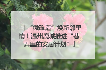 “微改造”焕新邻里情！温州鹿城推进“巷弄里的安居计划”