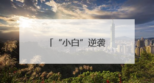 “小白”逆袭大“盈”家