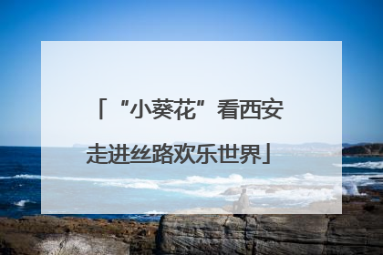 “小葵花”看西安走进丝路欢乐世界