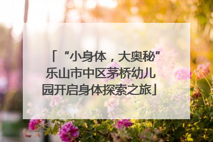 “小身体，大奥秘” 乐山市中区茅桥幼儿园开启身体探索之旅