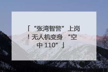 “张湾智警”上岗！无人机变身 “空中 110”