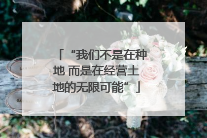 “我们不是在种地 而是在经营土地的无限可能”