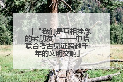 “我们是互相挂念的老朋友”——中哈联合考古见证跨越千年的文明交响