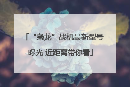“枭龙”战机最新型号曝光 近距离带你看