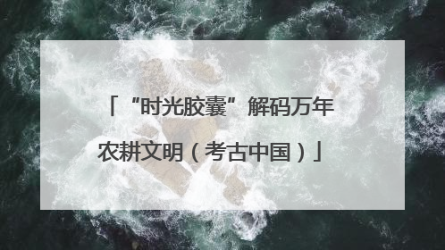 “时光胶囊”解码万年农耕文明（考古中国）