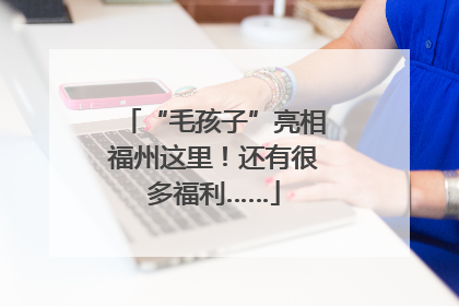 “毛孩子”亮相福州这里！还有很多福利……