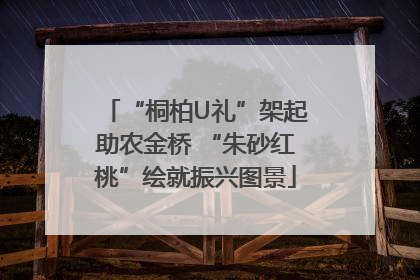 “桐柏U礼”架起助农金桥 “朱砂红桃”绘就振兴图景