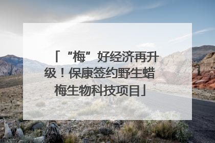 “梅”好经济再升级！保康签约野生蜡梅生物科技项目