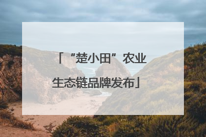 “楚小田”农业生态链品牌发布