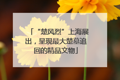 “楚风烈”上海展出，呈现最大楚墓追回的精品文物