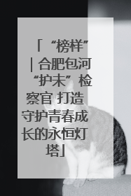 “榜样”｜合肥包河“护未”检察官 打造守护青春成长的永恒灯塔