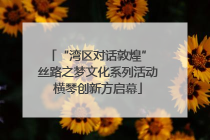 “湾区对话敦煌” 丝路之梦文化系列活动横琴创新方启幕