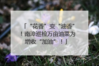 “花香”变“油香”！南漳巡检万亩油菜为增收“加油”！