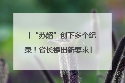 “苏超”创下多个纪录！省长提出新要求