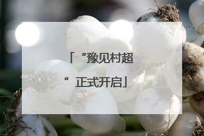“豫见村超”正式开启