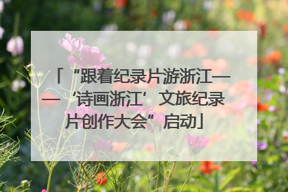 “跟着纪录片游浙江——‘诗画浙江’文旅纪录片创作大会”启动