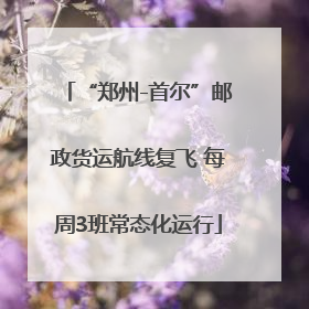 “郑州-首尔”邮政货运航线复飞 每周3班常态化运行