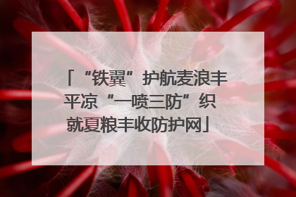 “铁翼”护航麦浪丰 平凉“一喷三防”织就夏粮丰收防护网