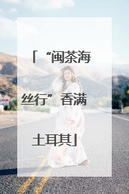 “闽茶海丝行”香满土耳其