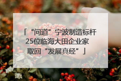 “问道”宁波制造标杆 25位临海大田企业家取回“发展真经”