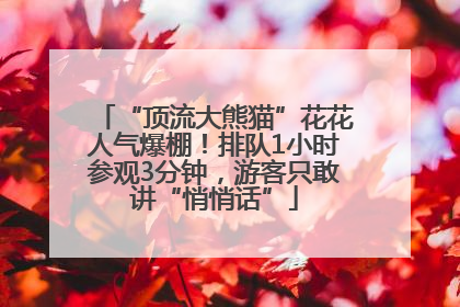 “顶流大熊猫”花花人气爆棚！排队1小时参观3分钟，游客只敢讲“悄悄话”