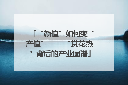 “颜值”如何变“产值”——“赏花热”背后的产业图谱
