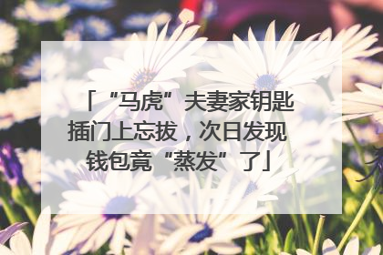 “马虎”夫妻家钥匙插门上忘拔，次日发现钱包竟“蒸发”了